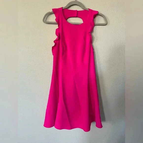 JayGodfrey Fuchsia Ruffle Fit & Flare Mini Dress Women’s Size 10 - Picture 4 of 16